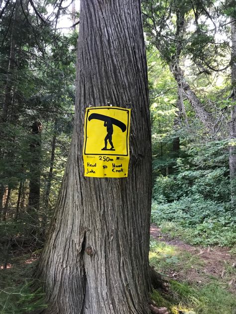 Shawn James, Algonquin Provincial Park, Outdoor Pics, Canadian Wilderness, Ontario Parks, Reference Board, Algonquin Park, Site Sign, Off Grid Cabin