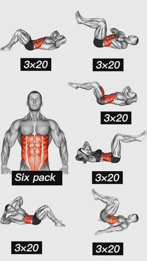 Back And Shoulder Workout, 6 Pack Abs Workout, Workout Man, Sixpack Workout, Best Gym Workout, Gym Workout Planner, Six Pack Abs Workout, Bodybuilding Workout Plan, Abs Workout Video