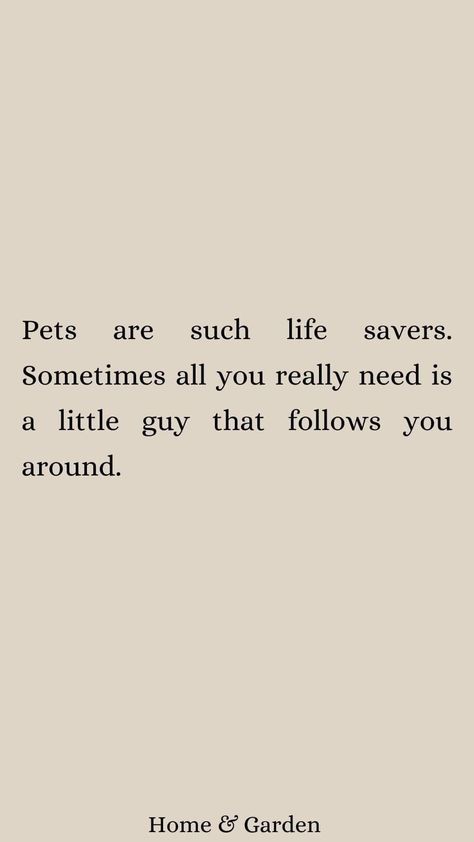 Pet Lover Quotes, Pet Lovers Quotes, Animal Lover Quotes, Pet Cows, Boring Day, Pet Lover, Crazy Cat Lady, Crazy Cats, You Really