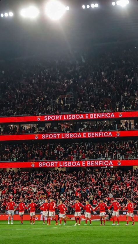 Benfica Wallpaper, Black Panther Marvel, Dream Board, Ipad Wallpaper, Nature Wallpaper, Cool Wallpaper, Cartoon Wallpaper, Love Of My Life, Aesthetic Wallpapers