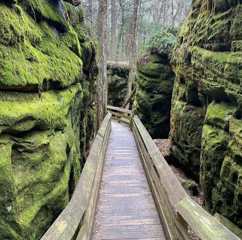 Our Planet Earth | West Virginia’s Bluestone State Park offers a perfect escape into nature with its stunning scenery and outdoor activities | Facebook West Virginia Travel, West Va, Great American Road Trip, New River Gorge, Virginia Travel, Our Planet Earth, Virginia State, American Road Trip, New River