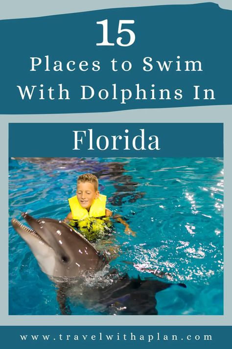 Swim With Dolphins Florida, Adrenaline Activities, Florida Dolphins, Swim With Dolphins, Southern Travel, Venice Florida, Florida Trip, Romantic Weekend Getaways, Florida Hotels