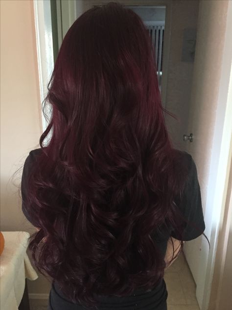 Gorgeous wine/eggplant hair Darkest Burgundy Hair, Dark Wine Red Hair Burgundy, Ruby Noir Hair Color, Curly Plum Hair, Plum Brunette Hair, Long Wine Red Hair, Deep Mahogany Hair Color, Ruby Wine Hair Color, Wine Burgundy Hair Color