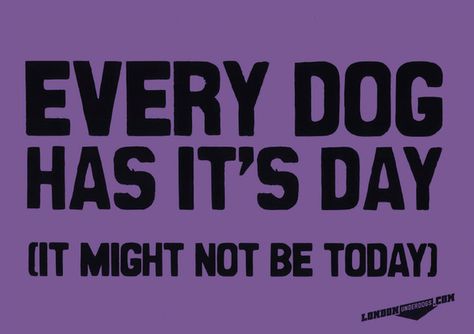 Watch out Rumplestiltskin. Every Dog Has Its Day Quotes, One Day Quotes, Copying Quotes, Burning Body, Live Backgrounds, The Day Will Come, Pub Quiz, Baseball Training, Nobody Knows