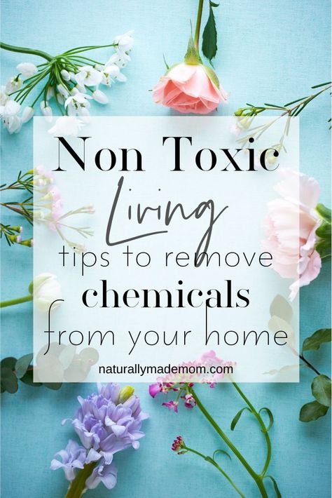 Organic Homes, Toxic Free Living, Nontoxic Cleaning, Chemical Free Living, Toxin Free Living, Toxic Cleaning Products, Mama Natural, Healthier Choices, Organic Lifestyle