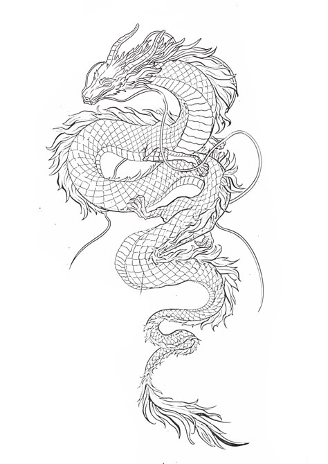 Dragon Shin Tattoo, Dragon Stencil Tattoo, Dragon And Snake Tattoo, Dragon Line Art, Dragon Stencil, Dragon Tattoo Outline, Dragon Outline, Dragon Tattoo Stencil, Dragon Tattoo Drawing