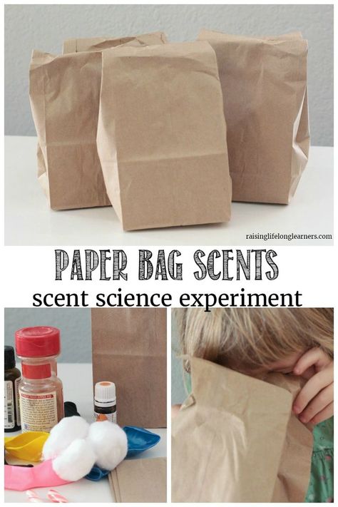 Scent Activities For Preschool, Guess The Smell Preschool, Science Language Activities, Our Senses Preschool Activities, 5 Senses Mystery Boxes, Special Ed Science Experiments, See Sense Activities Preschool, Five Senses Halloween Activities, Smell Science Experiment