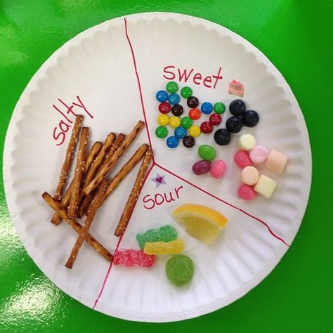 5 Senses Food Activities, Taste 5 Senses Preschool, Sense Of Taste Activities Preschool Science Experiments, My 5 Senses Preschool Crafts, Taste Sensory Activities, Food And Flavor Activities For Preschool, My 5 Senses Crafts For Toddlers, 5 Senses Taste Test Preschool, Taste And Smell Activities Preschool