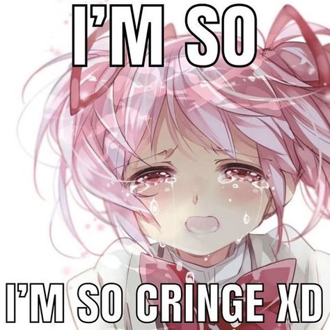 I Luv My Computer Friends, Cringe Core, Anime Cringe, Girl Memes, Hashtag Relatable, Gothic Anime, Puella Magi Madoka Magica, Anime Meme, Im Going Crazy