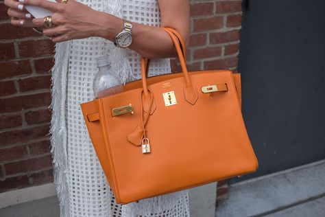 Orange Birkin, Hermes Birkin Handbags, Kelly Bag, Dior Handbags, Birkin 25, Fashion Icons, Hermes Handbags, Best Bags, Hermes Bags