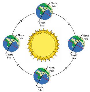 Solar System Projects For Kids, Earth Seasons, Seasons Worksheets, Solar System Projects, 2nd Grade Activities, Earth Drawings, Sun And Earth, Earth And Space Science, Vernal Equinox