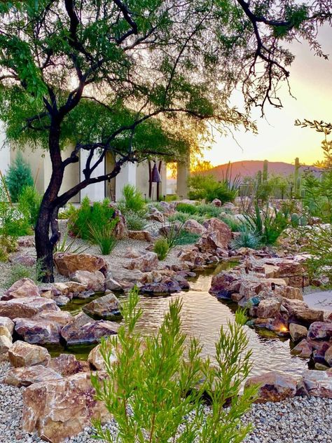 Arizona Wellness Retreat, Canyon Ranch Spa, Canyon Ranch Spa Tucson, Fountain Hills Arizona, Canyon Ranch Tucson, Horseshoe Canyon Ranch Arkansas, Spa Recipes, Canyon Ranch, Wellness Retreat