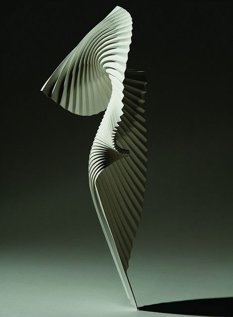 Example from Paul Jackson's new book Complete Pleats. Publisher's worldwide book giveaway through Oct 16, 2015. Richard Sweeney, Architecture Origami, Wow Art, Watercolour Paper, 판타지 아트, Sculpture Installation, Modern Sculpture, Kirigami, Paper Sculpture