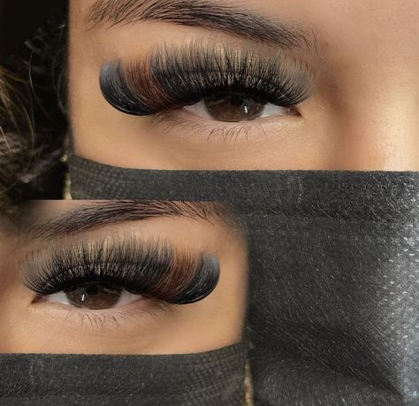 Lashes With Brown Color, Baddie Lash Extensions, Lash Inspiration, 2022 Makeup, Best Lash Extensions, Lashes Fake Eyelashes, Lash Extensions Styles, Eyelash Extensions Styles, Perfect Eyelashes