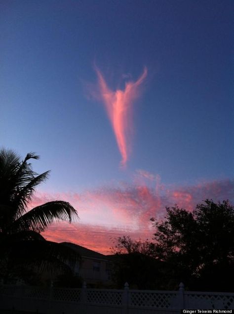 An Angel, Palm Trees, The Sky, Trees, Angel, Pink