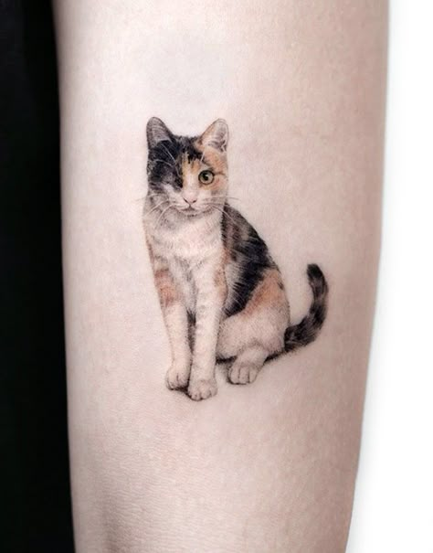 Cat Tats, Egyptian Cat Tattoos, Watercolor Cat Tattoo, Cat Paw Tattoos, Lucky Cat Tattoo, Cat Portrait Tattoos, Cat Tatto, Cat Tattoo Simple, Tato Minimal