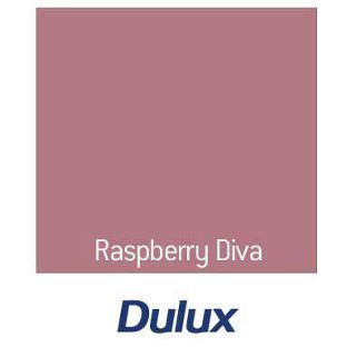 Dulux Feature Wall, House Colours, Meditation Room Decor, Furniture Paint, Home Needs, Lounge Design, Paint Colours, Meditation Room, Black Friday Deals