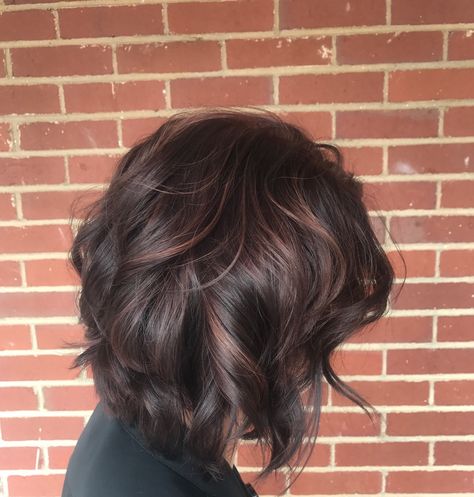 Violet brown hair. Plum lowlights. Fall ideas for brown hair Plum Purple Brown Hair, Plum Lowlights In Brown Hair, Brown Hair With Purple Undertones, Purple Lowlights In Brown Hair, Color Attraction, Dark Brown Hair With Low Lights, Violet Brown Hair, Plum Brown Hair, Purple Brown Hair