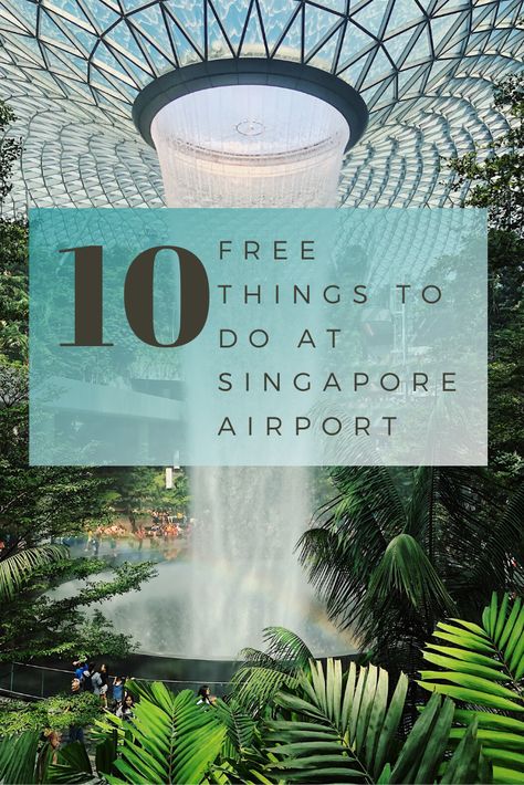 How to have the best time on a layover at Singapore Changi Airport. Watch a free movie, sip a Singapore Sling and visit the world's largest indoor waterfall. Singapore Stopover, Girl Tweets, Henderson Waves, Singapore Things To Do, Singapore Travel Tips, Singapore Changi Airport, Airport Tips, Changi Airport, Indoor Waterfall