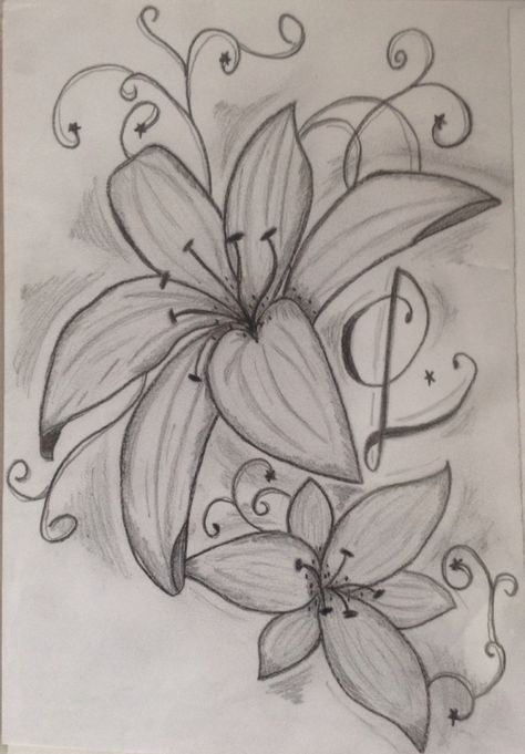 How To Draw Lily Flowers, Lilies Flowers Drawing, Cat Holding Flowers Drawing, Lilly Flower Drawing, Lily Flower Drawing, Chicano Drawing, Lily Drawing, Easy Graffiti Drawings, Simple Flower Drawing