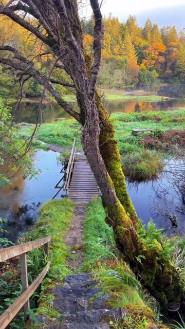 Visit Galway on Instagram: "Scenes from the beautiful Ballynahinch Castle Hotel... 🏰⛰️💚 📸 @visit_ireland_ 📍 Ballynahinch Castle Hotel, Connemara #Wow #PicturePerfect #Reflections #LoveThis #AmazingPlaces #BucketList #BallynahinchCastle #Ballynahinch #Connemara #Galway #Ireland #VisitGalway" Ballynahinch Castle, Galway Ireland, Castle Hotel, Visit Ireland, Galway, Picture Perfect, The Good Place, Bucket List, Travel Photography