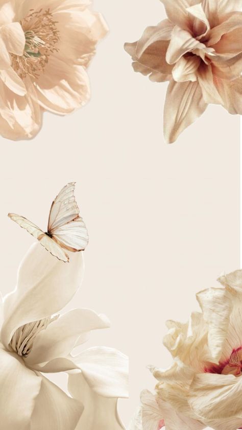 Beige flowers,wallpaper, clean aesthetic, iPhone, inspiration Beige And Light Pink Aesthetic, Creme Wallpaper Aesthetic, Beige Flowers Wallpaper, Classy Wallpaper Iphone, Beige Wallpaper Iphone, Beige Aesthetic Wallpaper, Wallpaper Clean, Iphone Inspiration, Classy Wallpaper