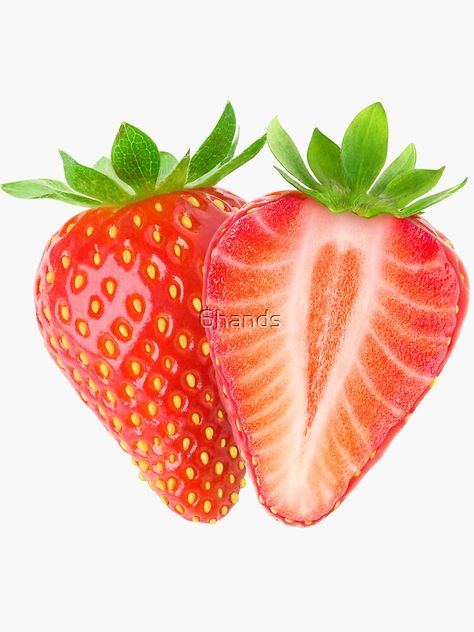 "Cut strawberries" Sticker by 6hands | Redbubble Strawberry Reference, Strawberry Life Cycle, Strawberry Sculpture, Fruit References, Strawberries Drawing, Fruit Reference, Fruits Cartoon, Strawberry Fashion, Strawberry Painting