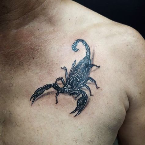 Scorpion Tattoo 3d Design, 3d Scorpion Tattoo Design, Scorpion Chest Tattoo, 3d Scorpion Tattoo, Realistic Scorpion Tattoo, Scorpion Realistic Tattoo, Shaded Scorpion Tattoo, Big Scorpion Tattoo, 3d Rose Tattoo