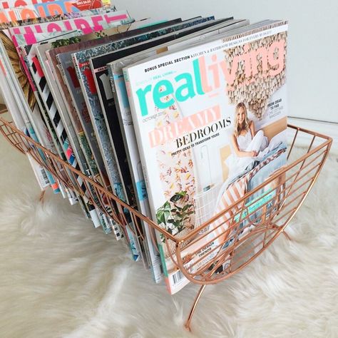 Kmart dish rack turned into magazine holder Kmart Decor, Kmart Home, Kmart Hacks, Copper Dishes, Interior Design Minimalist, Decor Hacks, Home Budget, Home Decor Hacks, Magazine Holder