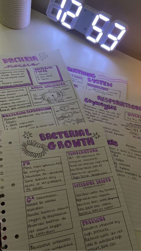 Stem Notes Aesthetic, Class 10 Bio Notes Aesthetic, Hand Written Notes Aesthetic, Biology Motivation, Aesthetic Biology Notes, Biology Notes Aesthetic, School Aestethic, Science Core, Notes Biology