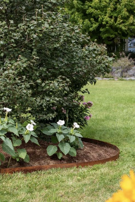 15 Garden Edging Ideas to Keep Your Landscape Looking Neat Garden Edging Ideas Australia, Steel Garden Edging, Garden Edging Ideas, Edging Ideas, Garden Edging, Garden Shop, Black Steel, Amazing Gardens, Landscaping