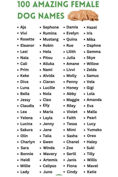 Latest 100 Amazing Female Dog Names 2024 German Male Names, Names For Dogs Female, Female Dog Names With Meaning, Female Dog Names List, Cute Dog Names Female, Female Dog Names Unique, Unique Puppies, Puppy Names Female, Best Female Dog Names