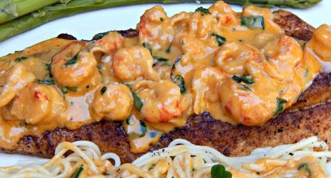 Pan-Fried Speckled Trout with Creamy Crawfish Sauce Speckled Trout Recipe, Crawfish Sauce, Prawn Sauce, Pan Fried Trout, Fried Trout, Trout Recipe, Crawfish Recipes, Speckled Trout, Trout Recipes