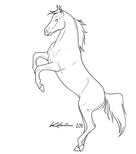 Rearing Horse Drawing, Horse Rearing Drawing, Horse Outline Drawing, Horse Lineart, Horse Line Art, Horse Outline, Horse Rearing, Horse Art Drawing, Rearing Horse