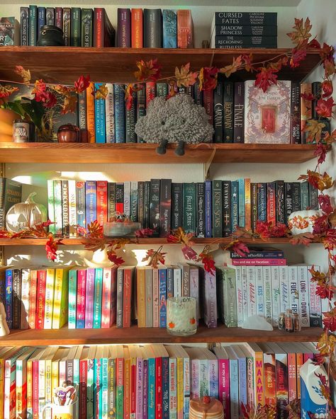 currently reading & watching 🧸☕️🍂🕯️ I felt like I needed some romance so I’m finally reading you, again 🧡 I added a bookshelf to my room & I wanted to show it off a bit. I’m not quite done styling it but it’ll do for now. Q: what is your fave fall movie? Reading Widget, Fall Reading Aesthetic, Romance Book Aesthetic, Book Lounge, Hanging Bookshelf, Bookshelf Inspo, Aesthetic Bookshelf, Book Area, Fall Movie