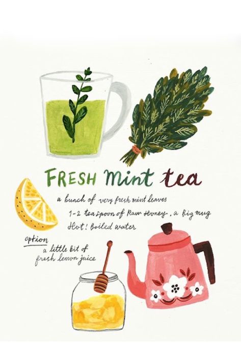 Chip Dips, Fresh Mint Tea, Herbal Apothecary, Mint Tea, Illustration Food, Fresh Mint Leaves, Illustration Inspiration, Fresh Mint, Tea Recipes