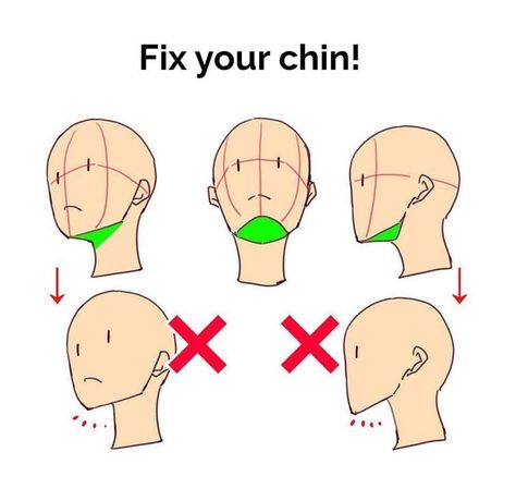 Human Anatomy Reference, Human Base, Artist Problems, Art Advice, Drawing Heads, Art Hub, Anatomy For Artists, Anatomy Study, Chin Up