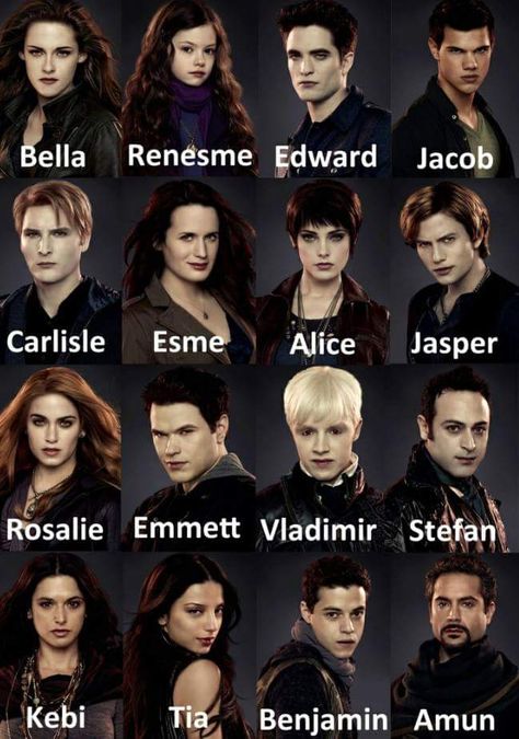 Twilight Dolls, Twilight Characters, Twilight Saga Quotes, Twilight Jokes, Twilight Outfits, Vampire Twilight, Twilight Quotes, Twilight Saga Series, Twilight Funny