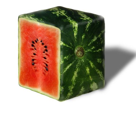 Square Watermelon: A Popular Trend in Japan Watermelon Pictures, Square Watermelon, Watermelon Images, Lemon Diet, Watermelon Art, Asian Inspiration, Tutti Frutti, Fruits And Veggies, Japanese Food