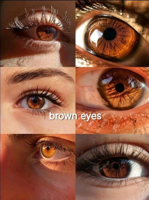 Pretty Eyes Color, Brown Eyes Aesthetic, Eyes Aesthetic, Pretty Brown Eyes, Beautiful Eyes Color, Eyes Color, Types Of Eyes, Aesthetic Eyes, Brown Aesthetic