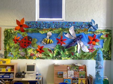 Mini Beast Display | Flickr - Photo Sharing! Minibeast Display, Early Years Displays, Nursery Display Boards, Year 5 Classroom, Nursery School Activities, Insect Wall Decor, Insect Study, Nature Activity, Classroom Designs