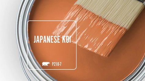 Japanese Koi P210-7 | Behr Paint Colors Terra Cotta Paint Color, Orange Paint Colors, Behr Colors, Behr Paint Colors, Behr Paint, Paint Sheen, Japanese Koi, Clay Paint, Orange Paint