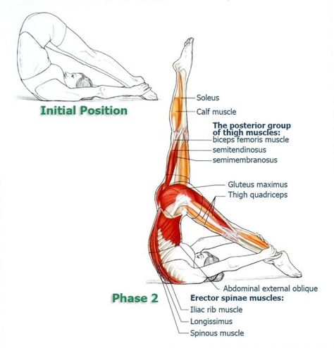 Yoga Anatomy, Posture Exercises, Improve Your Posture, Science Journal, Yoga Motivation, Mobility Exercises, Improve Flexibility, Yoga Postures, Yoga Stretches