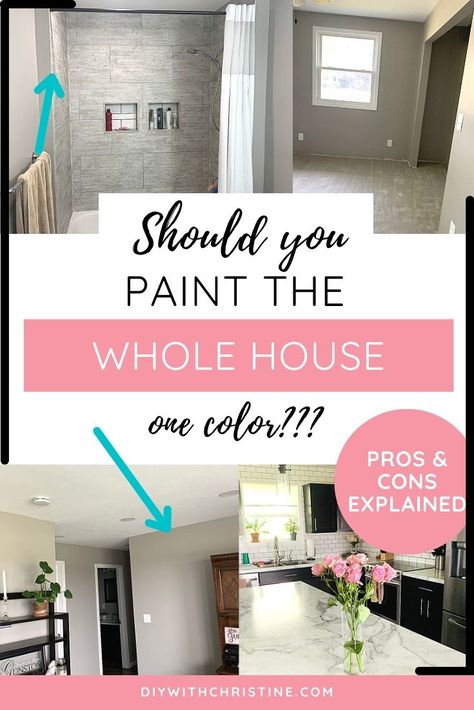 Should You Paint Your Whole House The Same Color, One Paint Color For Whole House, Painting Whole House One Color, Paint Whole House One Color, Whole Home Paint Scheme, House Colors Inside, Diy Room Makeover, Decor Room Ideas, Choosing Paint Colours