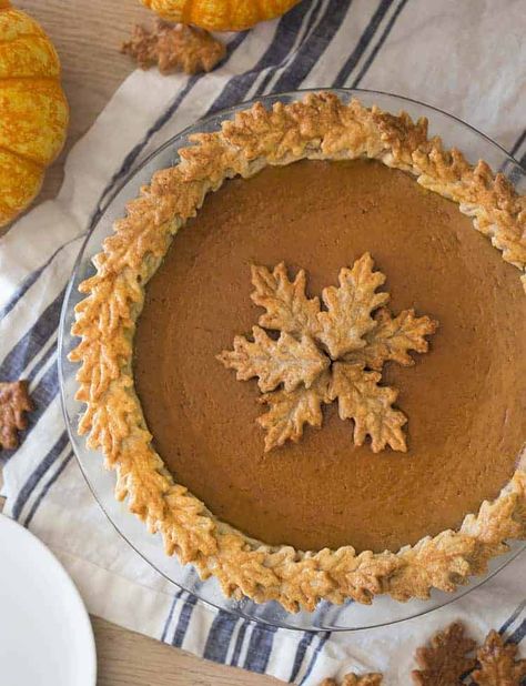 Pumpkin Pie Crust Recipe, Traditional Pumpkin Pie Recipe, Fancy Pie Crust, Easy Pumpkin Pie Recipe, Pie Crust Art, Pumpkin Pie Crust, Beautiful Pie Crusts, Decorative Pie Crust, Best Pumpkin Pie Recipe