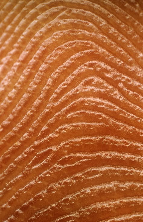 This close-up on the ridges and grooves of a human fingerprint. Macro Photography Tips, Close Up Art, Leaf Vector, Eye Close Up, Extreme Close Up, Elements And Principles, Texture Inspiration, Texture Photography, Body Photography