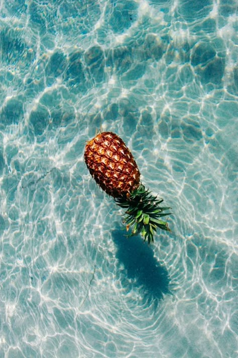 pineapple Summer Lovin, Blue Water, Iphone Wallpapers, Summer Time, Summer Vibes, The Ocean, Pineapple, Floating, The Beach