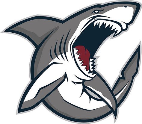 Shark Mascot Illustrations, Royalty-Free Vector Graphics & Clip Art - iStock Shark Mascot, Grafic Art, Shark Drawing, Shark Logo, Samurai Artwork, Girl Drawing Sketches, Graphic Wallpaper, Vector Art Illustration, Fish Design