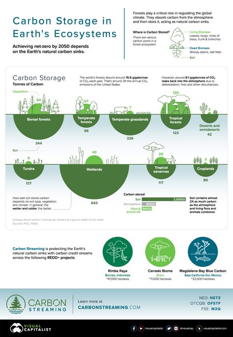 Visualizing Carbon Storage in Earth's Ecosystems Biomes Project, Brand Collab, Carbon Sink, Forest Ecosystem, Carbon Sequestration, Data Visualisation, Net Zero, Organic Soil, Ecosystem