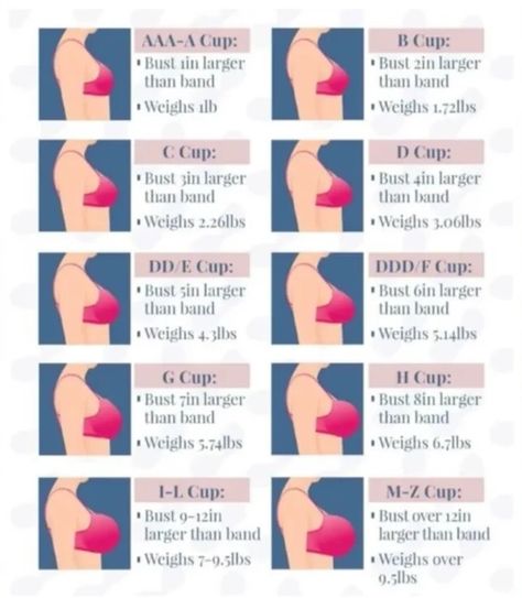 Bra Cup Size Chart, Cup Size Chart Bras, Chest Size, Cup Size, Cup Size Chart, Remedies For Dark Lips, Correct Bra Sizing, Perfect Bra Fit, Female Anatomy Reference